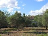 Maison à construire à Azille (11700) 2276415-10986annonce120250919RE8cP.jpeg Maisons France Confort