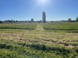 Terrain à bâtir à Blaye (33390) 2275596-11252annonce1202509185SBhs.jpeg Maisons France Confort