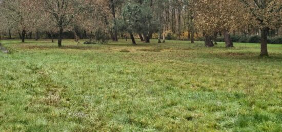 Terrain à bâtir à Louchats, Nouvelle-Aquitaine