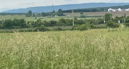 Distroff Terrain à bâtir - 2278144-5141annonce1202509201gQJL.jpeg Maisons France Confort