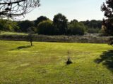 Terrain à bâtir à Lignan-de-Bordeaux (33360) 2278348-11383annonce120250921N1rqS.jpeg Maisons France Confort