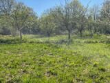 Maison à construire à Maule (78580) 2273782-10829annonce120250917TybbE.jpeg Maisons France Confort