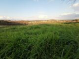 Terrain à bâtir à Antonne-et-Trigonant (24420) 2274220-11235annonce220250917m0KZc.jpeg Maisons France Confort