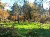 Terrain à bâtir à Sanguinet (40460) 2280708-3957annonce120250923sVCTf.jpeg Maisons France Confort