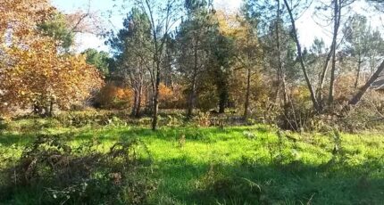 Sanguinet Terrain à bâtir - 2280708-3957annonce120250923sVCTf.jpeg Maisons France Confort