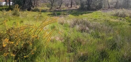 Terrain à bâtir à , Gironde