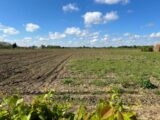 Maison à construire à Locon (62400) 2280884-5804annonce120250923KuTkf.jpeg Maisons France Confort