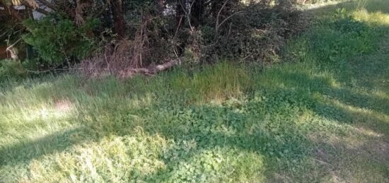 Terrain à bâtir à , Gironde