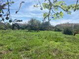 Maison à construire à Eaunes (31600) 2281252-10326annonce220250923kpieU.jpeg Maisons France Confort