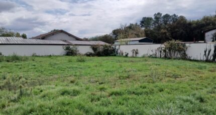 Saint-Magne Terrain à bâtir - 2283154-11193annonce120250925T4u2E.jpeg Maisons France Confort