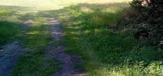 Terrain à bâtir à , Gironde