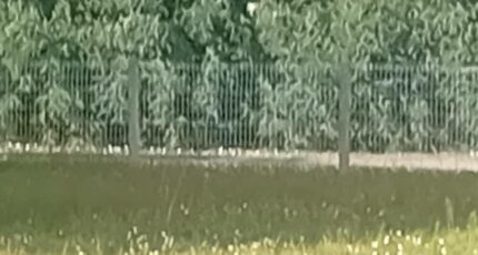 Gujan-Mestras Terrain à bâtir - 2283762-11244annonce3202509254RFGD.jpeg Maisons France Confort