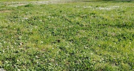 Trilport Maison neuve - 2283771-11572annonce120250925e0QBc.jpeg Maisons France Confort