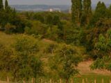 Terrain à bâtir à Agen (47000) 2282941-10776annonce120250925NOG27.jpeg Maisons France Confort