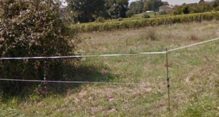Capian Maison neuve - 2284890-5612annonce120250926GeZ6k.jpeg Maisons France Confort