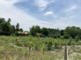 Terrain à bâtir à Le Barp (33114) 2285045-11071annonce120250926QHvZf.jpeg Maisons France Confort