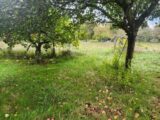 Terrain à bâtir à Lescure-d’Albigeois (81380) 2281870-11178annonce420250924rzXhE.jpeg Maisons France Confort