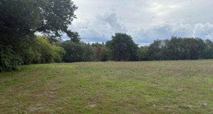 Montastruc-la-Conseillère Terrain à bâtir - 2281818-11356annonce120250924VNDB9.jpeg Maisons France Confort