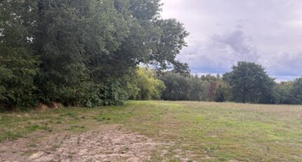 Montastruc-la-Conseillère Terrain à bâtir - 2281818-11356annonce320250924O91He.jpeg Maisons France Confort