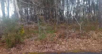 Gujan-Mestras Terrain à bâtir - 2285232-11244annonce120250926501nB.jpeg Maisons France Confort