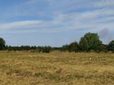 Terrain à bâtir à Bassac (16120) 2285492-11045annonce320250926bmLsa.jpeg Maisons France Confort