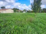 Maison à construire à Montans (81600) 2283962-11178annonce120250925vJUqB.jpeg Maisons France Confort