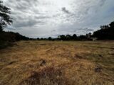 Maison à construire à Fréjus (83600) 2286190-3701annonce220250927AlCVo.jpeg Maisons France Confort
