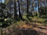 Terrain à bâtir à Fréjus (83600) 2286206-3701annonce120250927afyQ7.jpeg Maisons France Confort