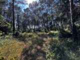 Terrain à bâtir à Fréjus (83600) 2286206-3701annonce320250927CaX75.jpeg Maisons France Confort