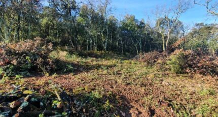 Labastide-de-Virac Maison neuve - 2287182-5100annonce120250904lUErB.jpeg Maisons France Confort