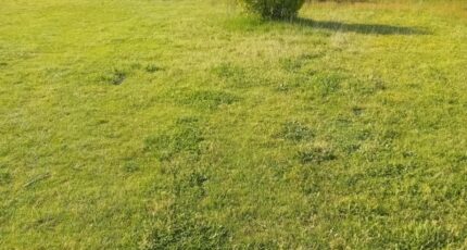 Arès Maison neuve - 2287269-11244annonce220250929qTCef.jpeg Maisons France Confort