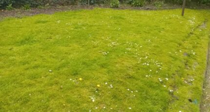 Arès Maison neuve - 2287277-11244annonce120250929TLLbi.jpeg Maisons France Confort