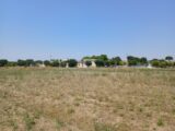 Terrain à bâtir à Galargues (34160) 2287154-11040annonce120250929UP7ef.jpeg Maisons France Confort