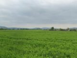 Terrain à bâtir à Mazères-sur-Salat (31260) 2285518-6043annonce4202509269pFR9.jpeg Maisons France Confort