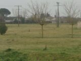 Maison à construire à Pins-Justaret (31860) 2285495-9555annonce120250926A07fM.jpeg Maisons France Confort