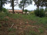 Terrain à bâtir à La Sauve (33670) 2287531-11596annonce120250929twFhT.jpeg Maisons France Confort