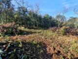 Maison à construire à Labastide-de-Virac (07150) 2287175-5100annonce120250904lUErB.jpeg Maisons France Confort
