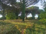 Terrain à bâtir à Langon (33210) 2288654-9573annonce120250930oLICv.jpeg Maisons France Confort
