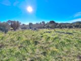 Terrain à bâtir à Fréjus (83600) 2288676-3701annonce120250930eZQX0.jpeg Maisons France Confort