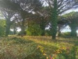 Terrain à bâtir à Langon (33210) 2288707-9573annonce120250930i7lfL.jpeg Maisons France Confort