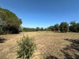 Terrain à bâtir à Roquebrune-sur-Argens (83520) 2288852-3701annonce220250930lbSo4.jpeg Maisons France Confort