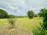 Terrain à bâtir à Roquebrune-sur-Argens (83520) 2288852-3701annonce320250930zHUme.jpeg Maisons France Confort