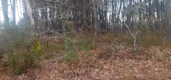 Terrain à bâtir à Gujan-Mestras, Nouvelle-Aquitaine