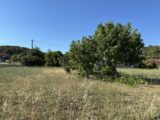 Maison à construire à Pierrefeu-du-Var (83390) 2289125-4590annonce120250930sPxI1.jpeg Maisons France Confort