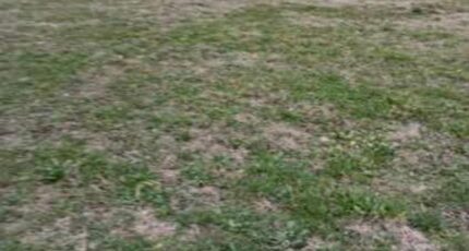 Châteaurenard Maison neuve - 2221668-3969annonce120250711Ldh8n.jpeg Maisons France Confort