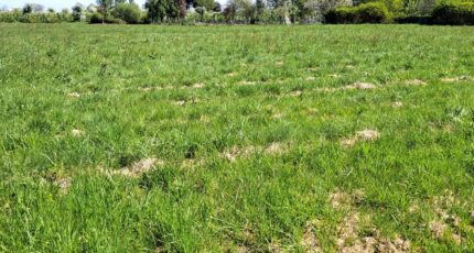 Bergerac Terrain à bâtir - 2222938-11103annonce1202507128dTa5.jpeg Maisons France Confort