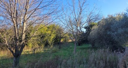 Cruas Terrain à bâtir - 2223801-812annonce420250715l2XKQ.jpeg Maisons France Confort