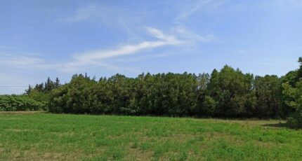 Sénas Terrain à bâtir - 2224165-3969annonce120250715XmzHw.jpeg Maisons France Confort