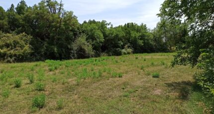 Sénas Terrain à bâtir - 2224165-3969annonce320250715VEMRB.jpeg Maisons France Confort