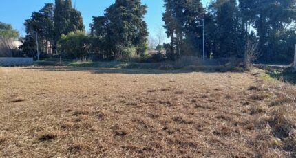 Salon-de-Provence Terrain à bâtir - 2224304-3969annonce420250715TTdSi.jpeg Maisons France Confort